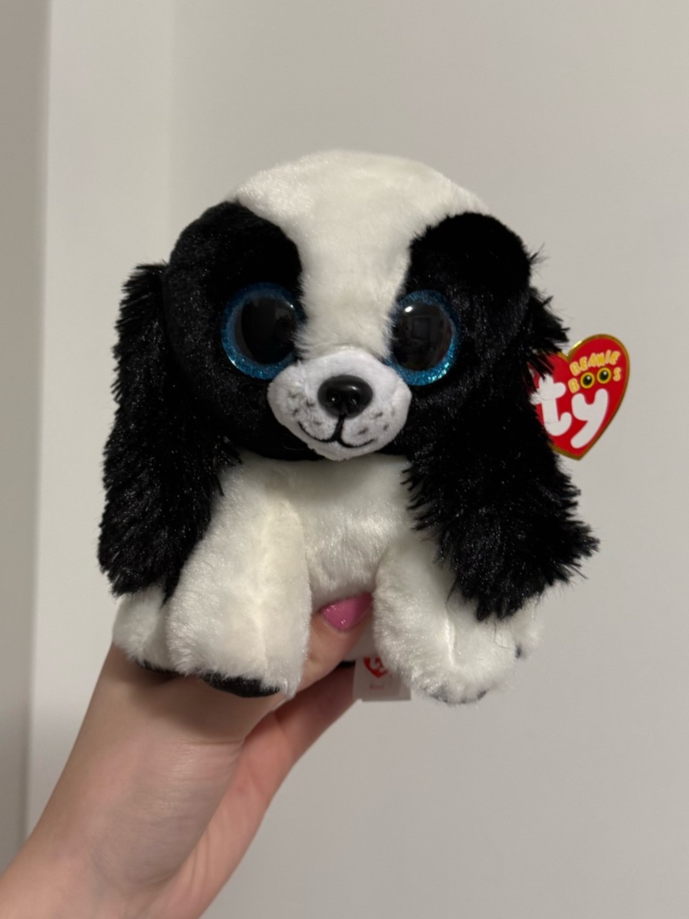 Ty Beanie Boos Sissy the Black and White Dog NWT